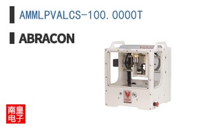 AMMLPVALCS-100.0000T